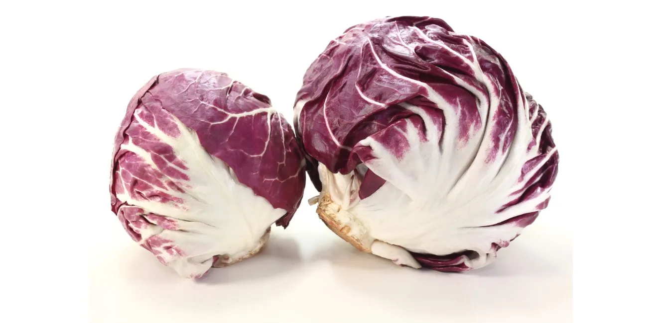 Radicchio - Alimenti