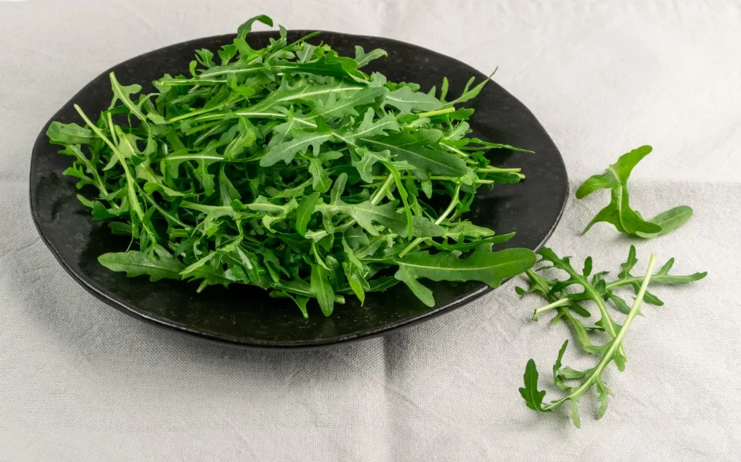 Rucola - Alimenti