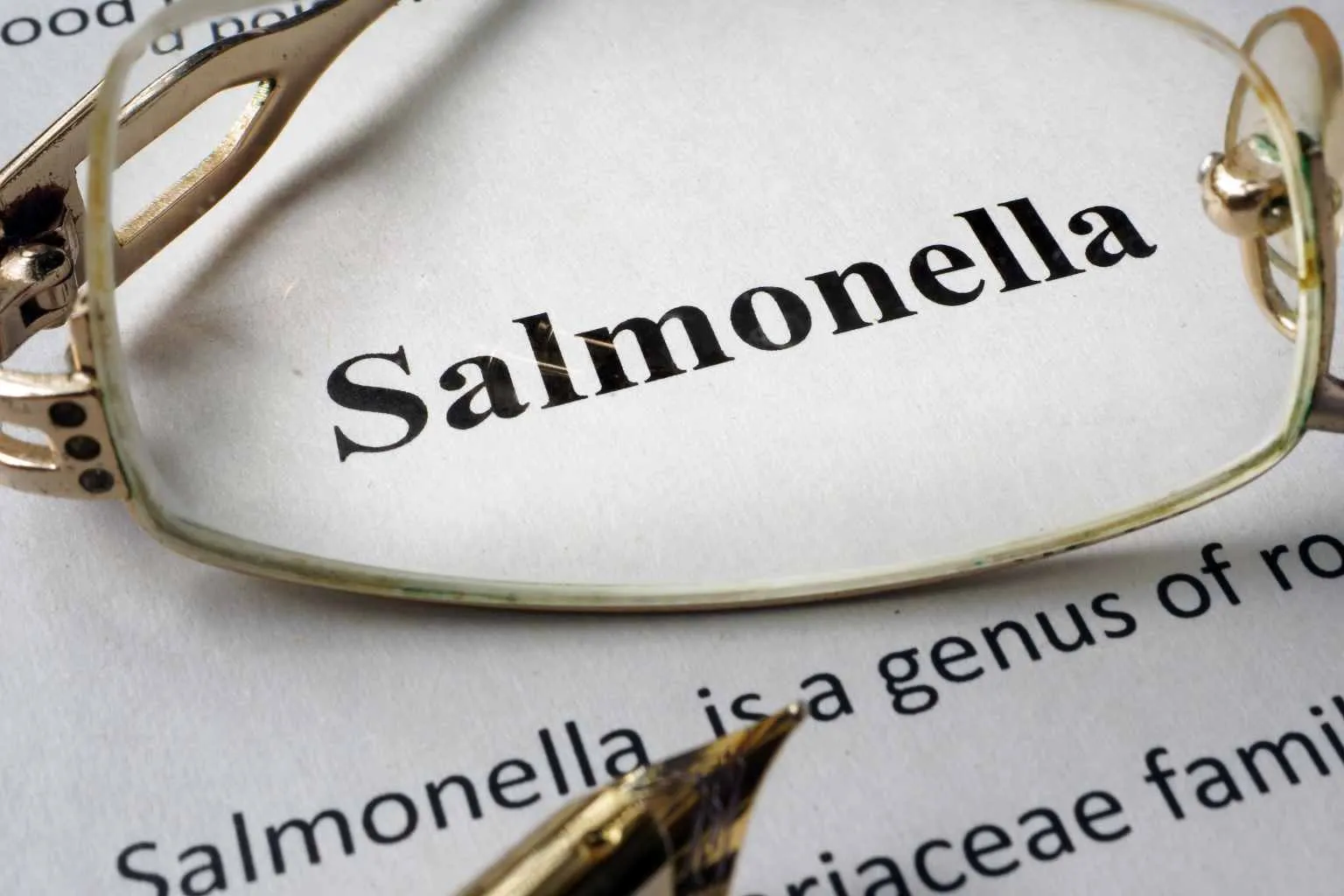 Salmonellosi: cos e come prevenirla