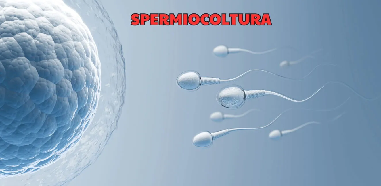 Spermiocoltura - Esami Medici