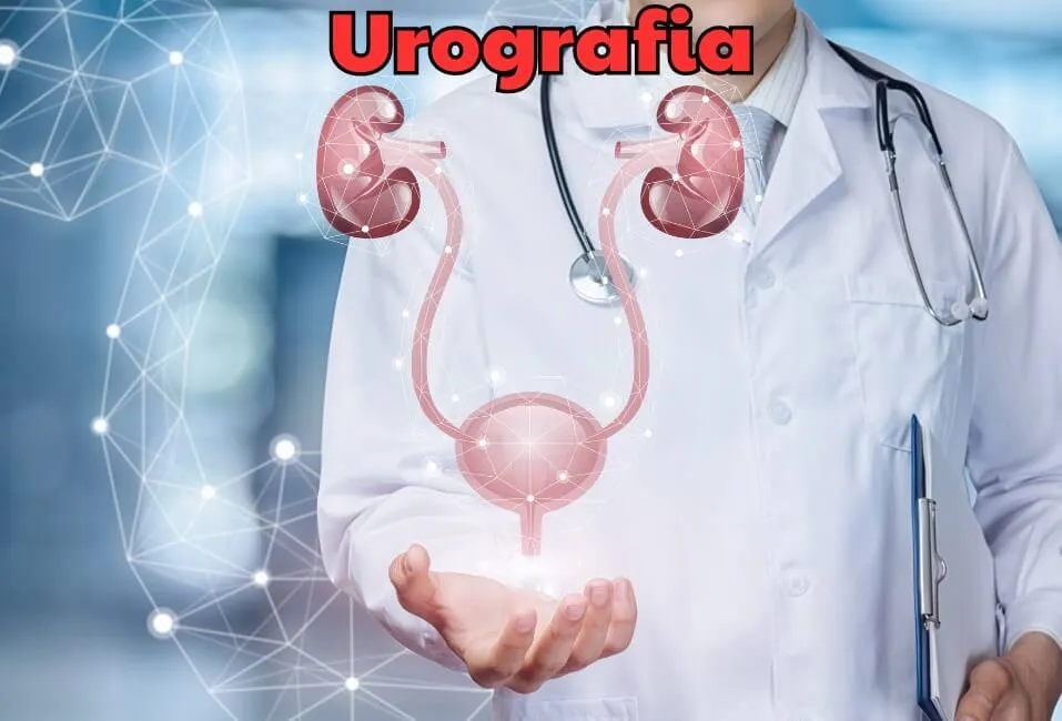 Urografia - Esami Medici