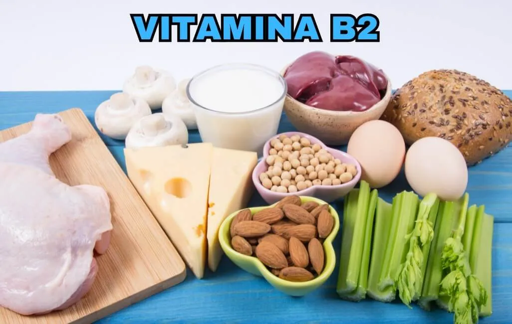 Vitamina B2 - Vitamine