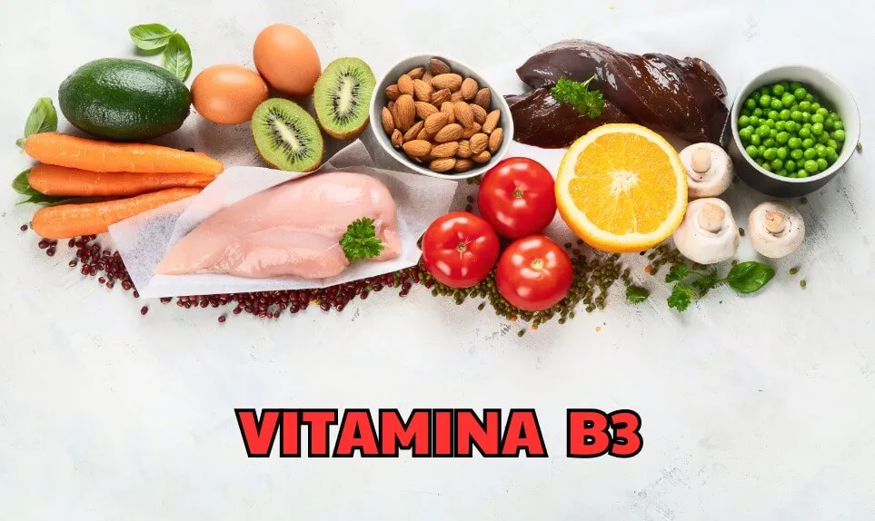 Vitamina B3 - Vitamine