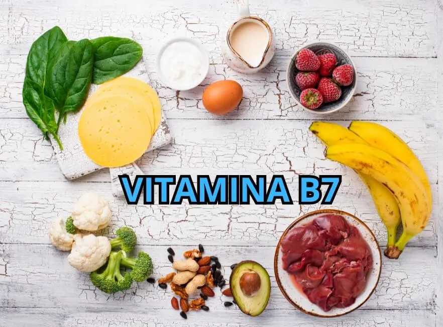 Vitamina B7 - Vitamine