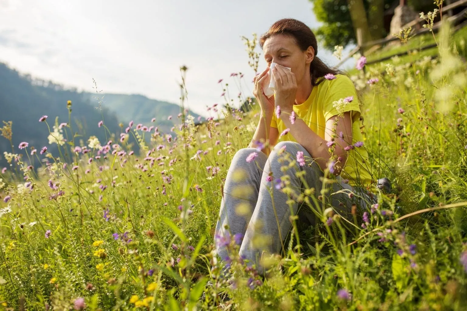 Allergie ai pollini: come alleviare il disturbo?